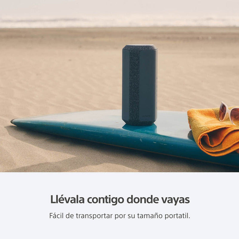 Bocina Sony Serie X Srs-xe300 Srs-xe300 Portátil Con Bluetoo Negro