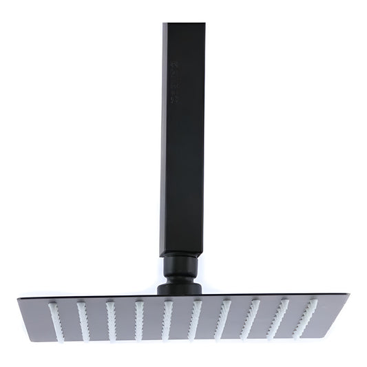 Regadera Para Techo Negro Mate Y Brazo De 40cm  Acero Inox
