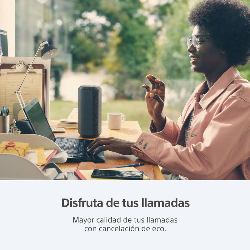 Bocina Sony Serie X Srs-xe300 Srs-xe300 Portátil Con Bluetoo Negro